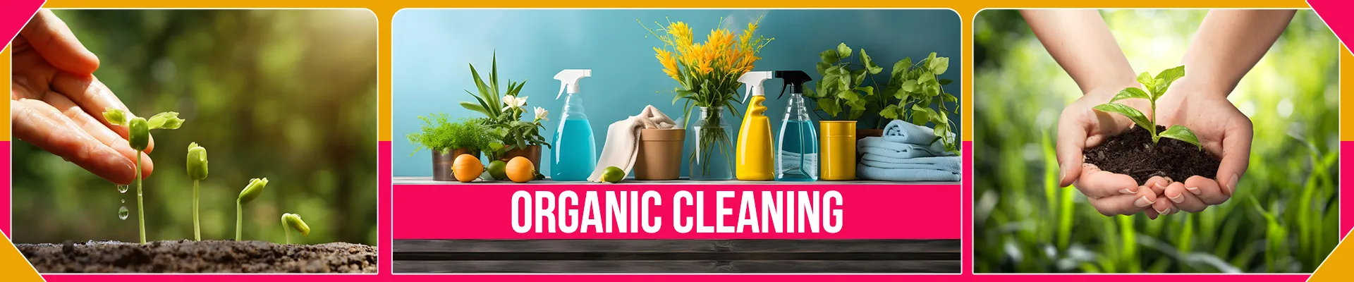 carpet cleaning in brooklyn, carpet cleaning in brooklyn, carpet cleaning brooklyn, carpet cleaners in brooklyn, carpet cleaners in brooklyn, commercial carpet cleaning, commercial carpet cleaning in brooklyn, brooklyn rug cleaners, rug cleaning services in brooklyn, same day carpet cleaning, same day rug cleaning