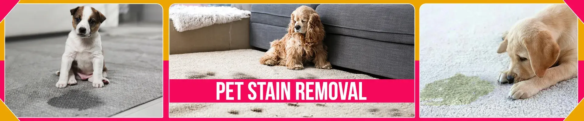 carpet cleaning in brooklyn, carpet cleaning in brooklyn, carpet cleaning brooklyn, carpet cleaners in brooklyn, carpet cleaners in brooklyn, commercial carpet cleaning, commercial carpet cleaning in brooklyn, brooklyn rug cleaners, rug cleaning services in brooklyn, same day carpet cleaning, same day rug cleaning