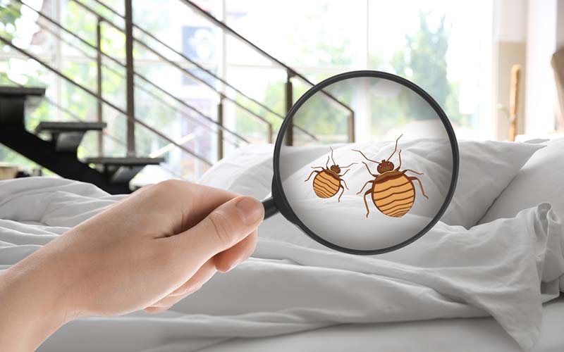 carpet cleaning in brooklyn, carpet cleaning in brooklyn, carpet cleaning brooklyn, carpet cleaners in brooklyn, carpet cleaners in brooklyn, commercial carpet cleaning, commercial carpet cleaning in brooklyn, brooklyn rug cleaners, rug cleaning services in brooklyn, same day carpet cleaning, same day rug cleaning