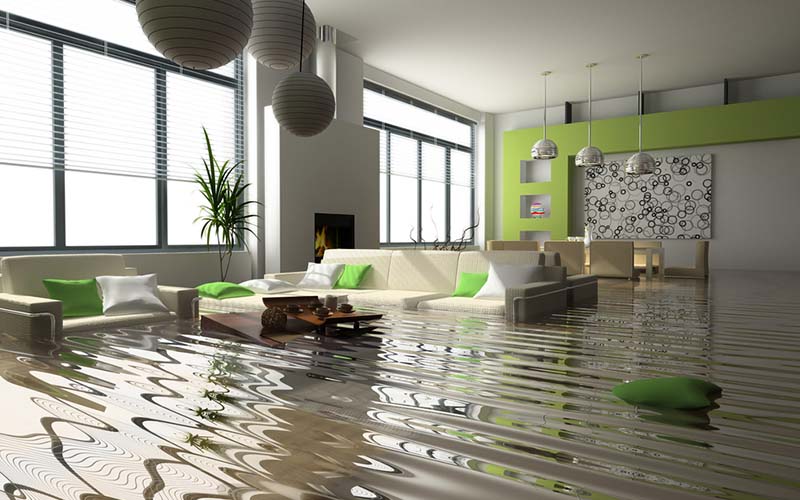 carpet cleaning in brooklyn, carpet cleaning in brooklyn, carpet cleaning brooklyn, carpet cleaners in brooklyn, carpet cleaners in brooklyn, commercial carpet cleaning, commercial carpet cleaning in brooklyn, brooklyn rug cleaners, rug cleaning services in brooklyn, same day carpet cleaning, same day rug cleaning