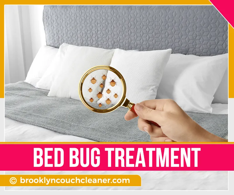 carpet cleaning in brooklyn, carpet cleaning in new york, carpet cleaning brooklyn, carpet cleaners in brooklyn, carpet cleaners in new york, commercial carpet cleaning, commercial carpet cleaning in brooklyn, brooklyn rug cleaners, rug cleaning services in brooklyn, same day carpet cleaning, same day rug cleaning