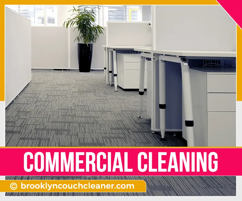 carpet cleaning in brooklyn, carpet cleaning in new york, carpet cleaning brooklyn, carpet cleaners in brooklyn, carpet cleaners in new york, commercial carpet cleaning, commercial carpet cleaning in brooklyn, brooklyn rug cleaners, rug cleaning services in brooklyn, same day carpet cleaning, same day rug cleaning