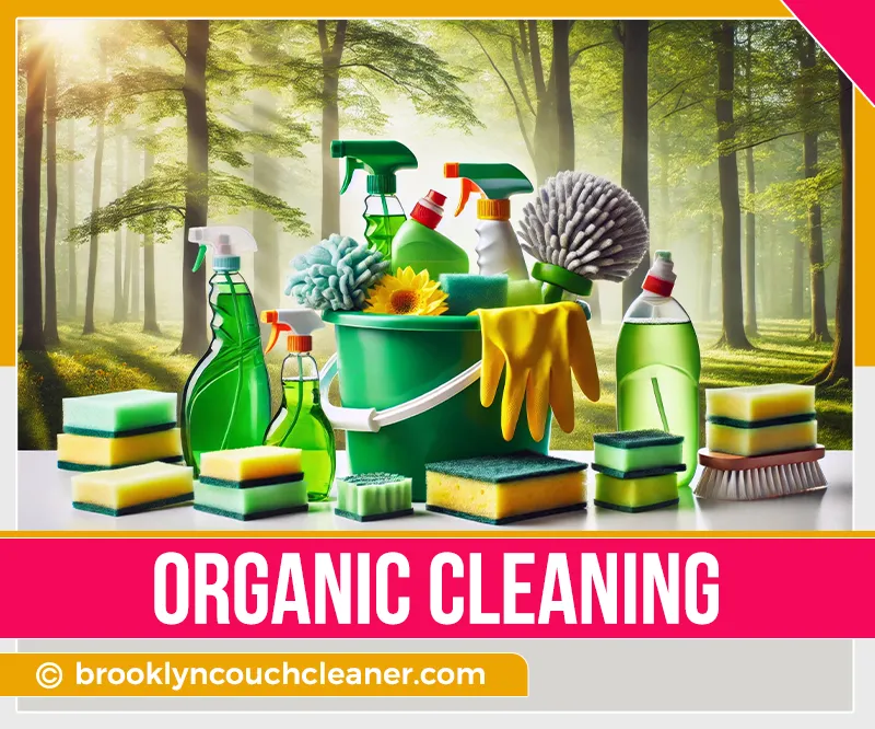 carpet cleaning in brooklyn, carpet cleaning in new york, carpet cleaning brooklyn, carpet cleaners in brooklyn, carpet cleaners in new york, commercial carpet cleaning, commercial carpet cleaning in brooklyn, brooklyn rug cleaners, rug cleaning services in brooklyn, same day carpet cleaning, same day rug cleaning