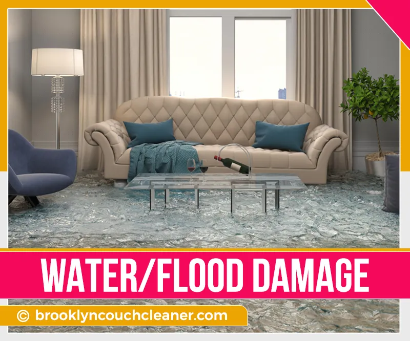 carpet cleaning in brooklyn, carpet cleaning in new york, carpet cleaning brooklyn, carpet cleaners in brooklyn, carpet cleaners in new york, commercial carpet cleaning, commercial carpet cleaning in brooklyn, brooklyn rug cleaners, rug cleaning services in brooklyn, same day carpet cleaning, same day rug cleaning